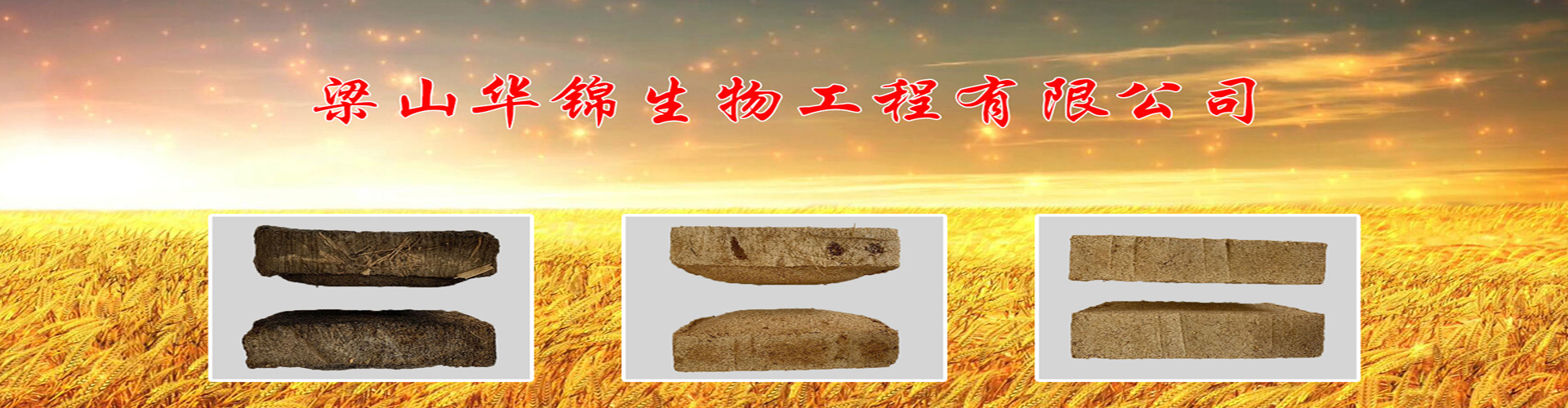 国蜜桃麻豆精品一区二区厂家
