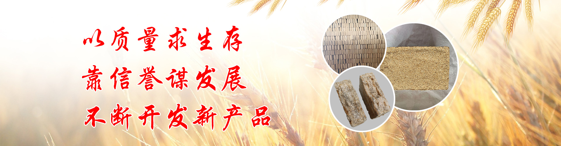 山东大曲厂家