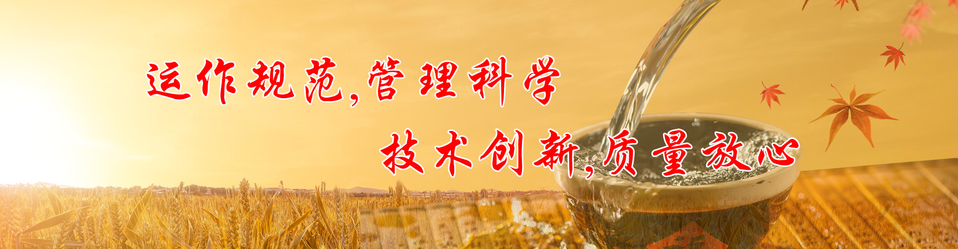山东大曲厂家